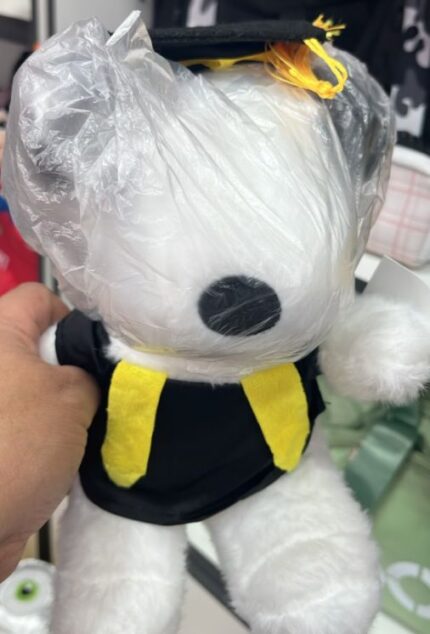 Peluche Snoopy Graduado 1131